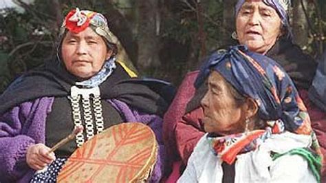 Diversificación Y Cultura Mujeres Mapuches Trabajan Junto A La Unrn Y