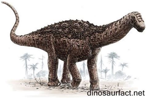 Le Blog De Didinosaures Les Dinosaures De A à Z Blikanasaurus