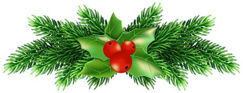 Holly With Red Berries And Green Leaves On White Background