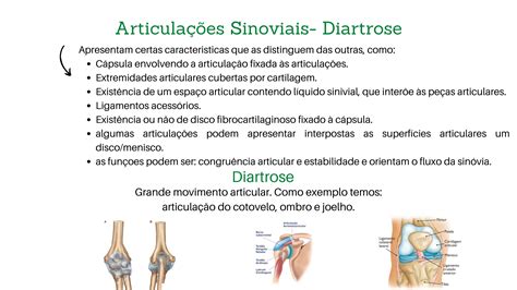 Qual Dessas Articulações Não Corresponde Ao Tipo Correto De Articulação