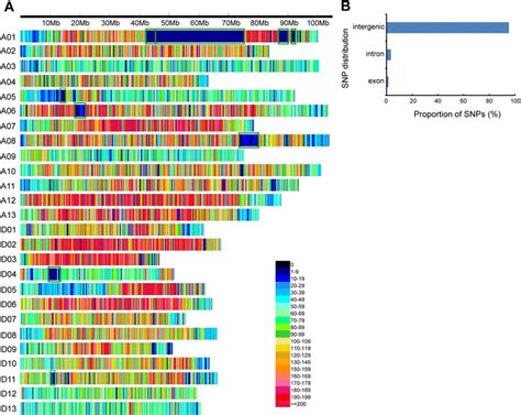 snp distribution in the cotton genome a distribution of snps in the 26 download scientific