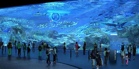 Dive Into The 7 Amazing Facts Of Cebu Ocean Park