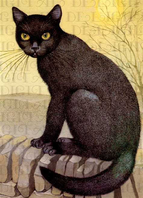 Beautiful Black Cat Halloween Black Cat Digital Download Vintage