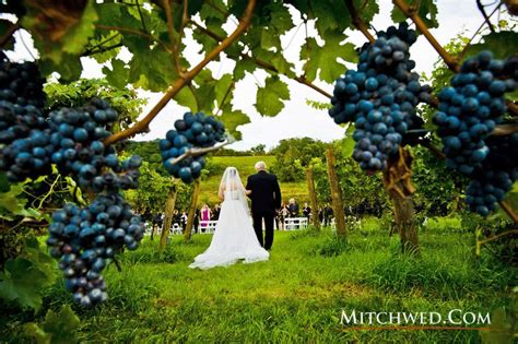 Vineyard Wedding Vineyard Wedding Wedding Wishes Wedding Photography