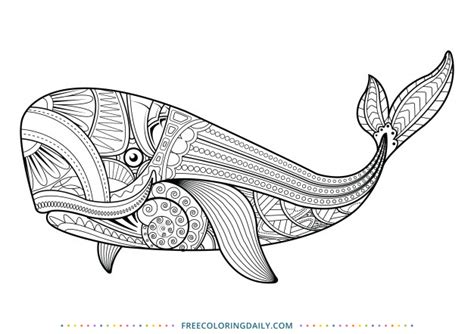 Free Whale Zentangle Coloring Free Coloring Daily