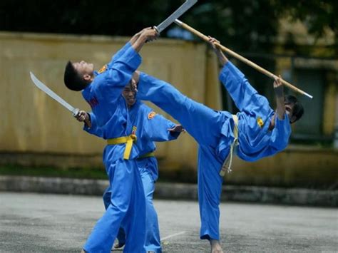 Vovinam Proposed As Intangible Cultural Form