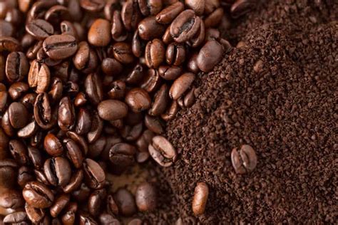 If you respect the planet and also like to sustain business that go the extra mile to be green, caribou coffee caribou blend is an excellent. How to store coffee beans ? The Right Way - FamilyNano