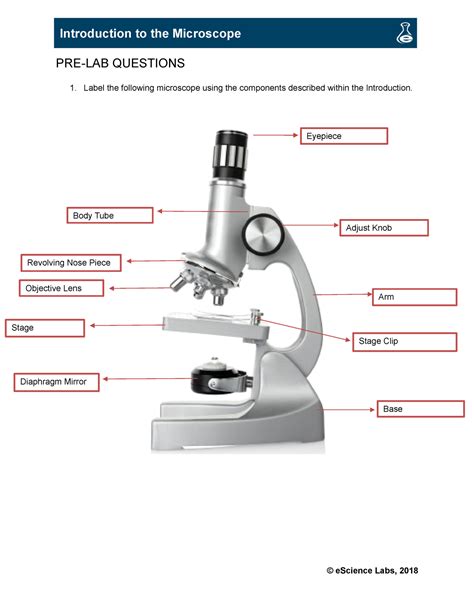 E Science Microscope Lab Pre Lab Questions Label The Following