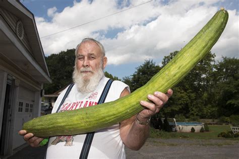 In A Pickle Record Breaking Cucumber Too Big To Eat Food