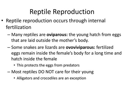 Ppt The Reptile Body Powerpoint Presentation Free Download Id3108092
