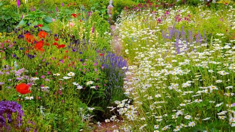 English landscape garden pittville gardens, cheltenham, england, c1900. 10 English Garden Design Ideas - How to Make an English ...