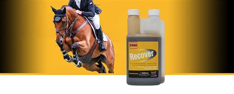 Recover Equine Supplements Supplements For Horses