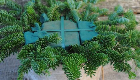 Memory foam mattresses are often sold for higher prices than traditional mattresses. DIY: Seasonal Centerpieces | Johnson's Gardens | Cedarburg, WI