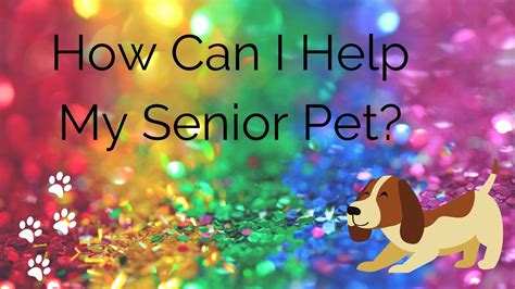 How Can I Help My Senior Pet Animal Communication With Tracy Pierce