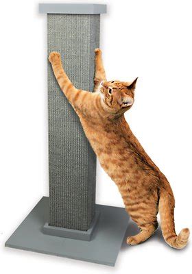 Shop with afterpay on eligible items. SmartCat The Ultimate Scratching Post, Gray - Chewy.com ...
