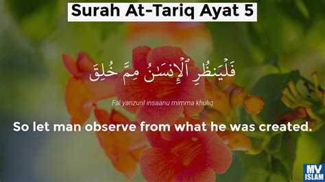Surah Tariq Ayat 5 865 Quran With Tafsir My Islam