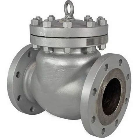 Swing And Lift Type Non Return Valve Size 25 Mm To 600 Mm Rs 700 Id