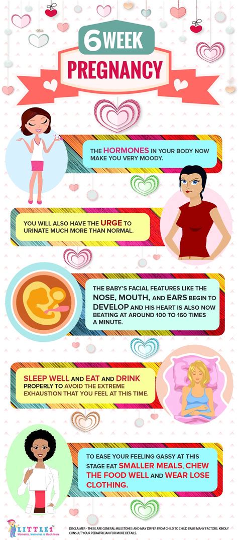 6th Week Pregnancy Tips Body Changes Food And Checkups Pregnancy Week