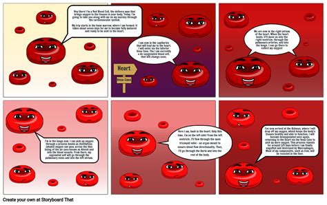 The Journey Of A Red Blood Cell Storyboard By C98bf96c
