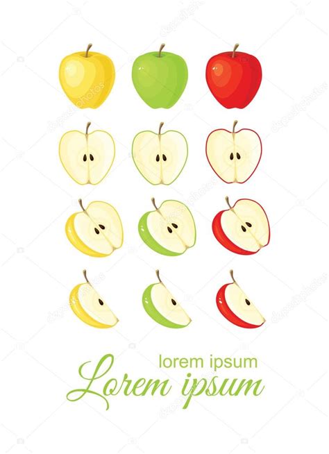 Vector Illustration Of Ripe Apple And Apple Slices — Stock Vector
