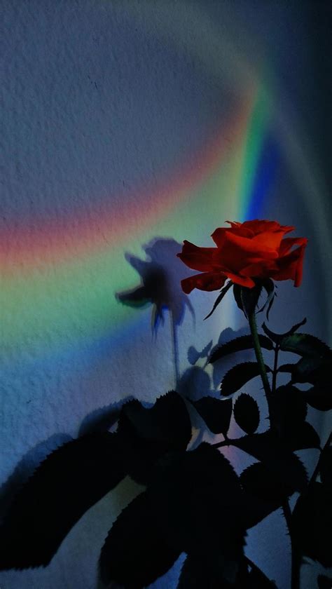 Rainbow Aesthetic Wallpapers - Wallpaper Cave