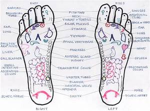 Foot Reflexology Chart Miss Patty 39 S Herbal Remedy