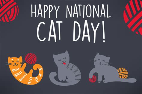 October 29th Is National Cat Day Now Go Hug Your Cat