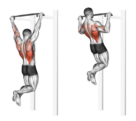 How Many Pull Ups Should I Be Able To Do Average Explained Inspire Us