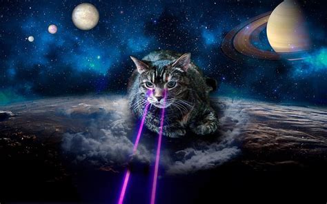 Galaxy Cat Space Cat HD Wallpaper Pxfuel