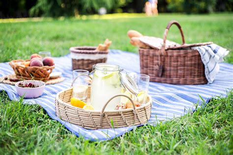 Best Picnic Blankets For Your Next Sunny Day Lunch Date Indy