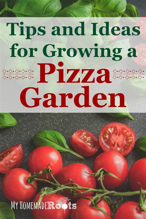 Ideas For Growing A Pizza Garden Gardening For Beginners Garden Care