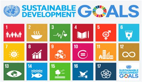 They have a strong focus on improving. Toxics-Free SDGs Pledge | IPEN