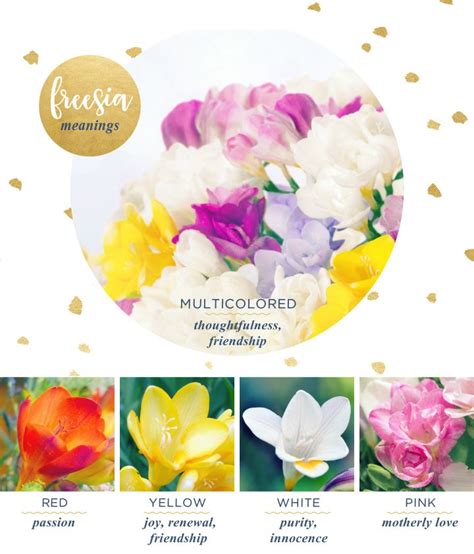 Maybe you would like to learn more about one of these? Freesia Meaning and Symbolism - FTD.com | Flower meanings ...