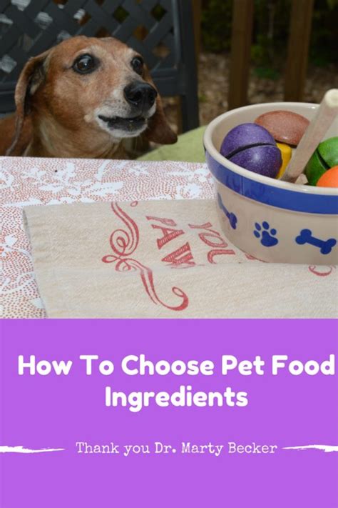 We make ordering your pet supplies as easy as possible. Choosing the Right Pet Foods: A Q&A with Dr. Marty Becker ...