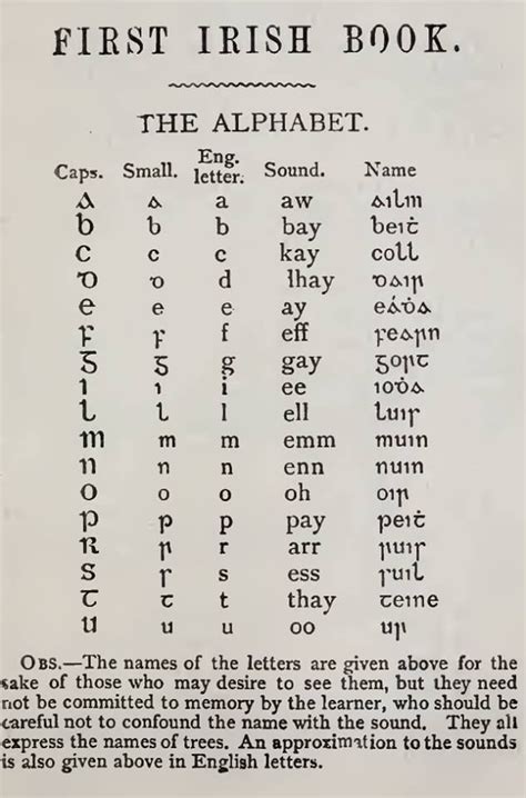 Mit einem misstrauensvotum ist die afd im erfurter landtag aber gescheitert. Pin by Sarah Koehler on ༺♥༻ Celtic ༺♥༻ | Irish words ...