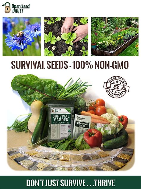 Amazonsmile Survival Garden 15 000 Non Gmo Heirloom Vegetable Seeds