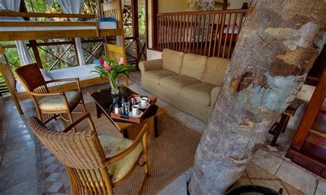 Ian Andersons Caves Branch Jungle Lodge Belmopan Belize