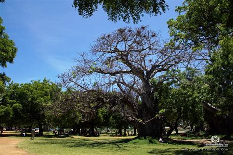 Mombasa Und Diana Beach Altstadt Meer Natur Viel Dreck Und Chaos