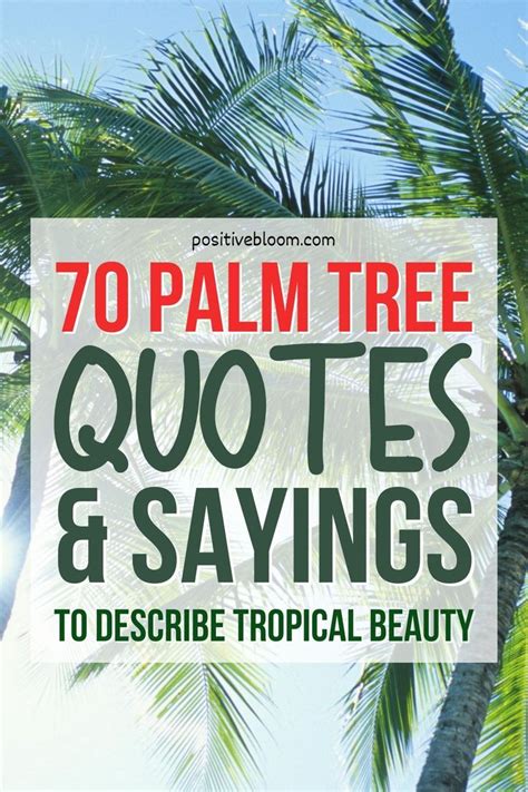 70 Palm Tree Quotes And Sayings To Describe Tropical Beauty Palm Tree