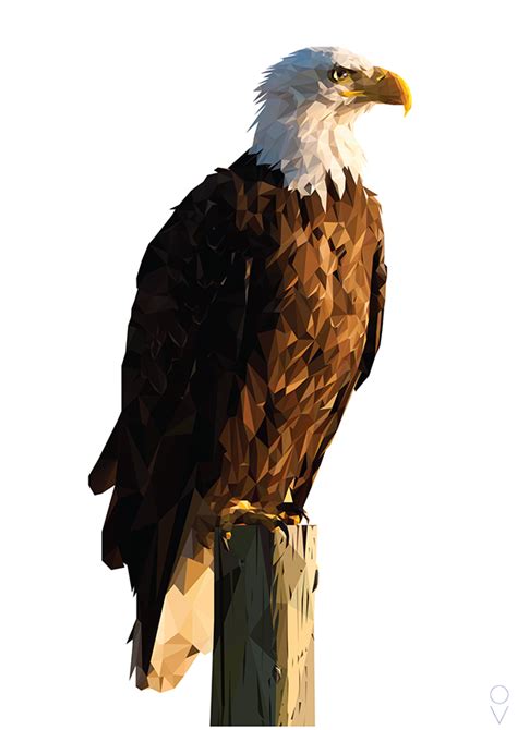Bald Eagle Drawing Hands Painting Png Download 16001170 Free