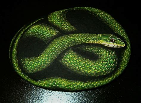 Snake Gallery Amylenore Snake Painting North American Wildlife Rock