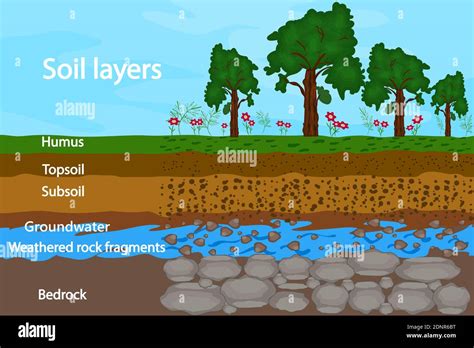 Layers Of Soil Diagram