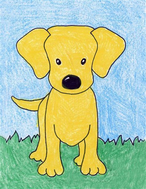 How to draw the dog's muscle structure. How to Draw a Labrador Dog | Art drawings for kids, Basic ...