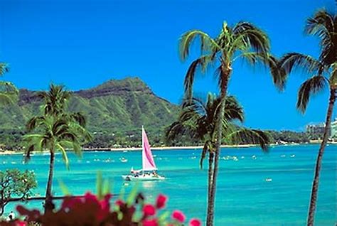 Tourist Attraction Spot Is Waikiki Beach The Holidays