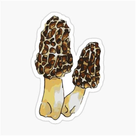 Morel Silhouette Art Mycologist Morel Mushrooms Hunting Svg Files Morel