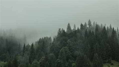 Misty Mountain Forest In The Morning Day Stock Footage