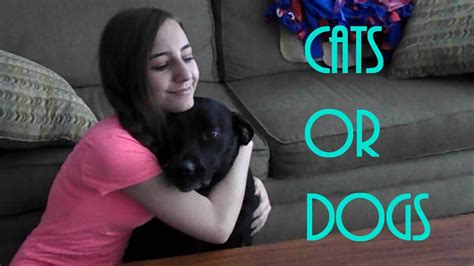 Ten Reasons Why Dogs Are Better Than Cats Youtube