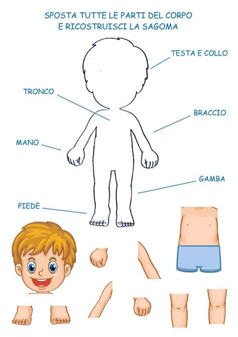 The Parts Of A Childs Body In Spanish