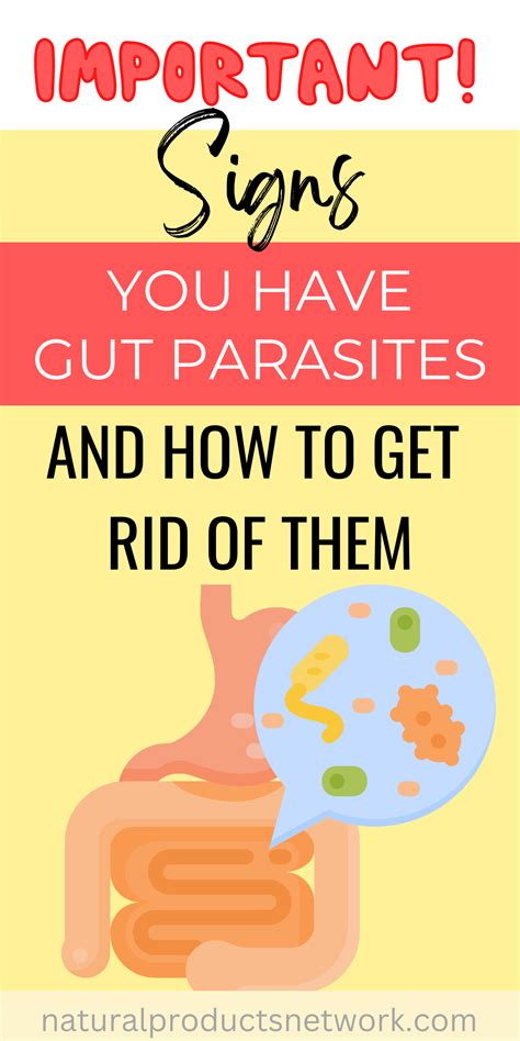 Important Signs You Have Gut Parasites And How To Get Rid Of Them