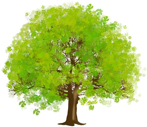 Large Green Tree Png Clipart Tree Art Tree Clipart Cartoon Trees Riset